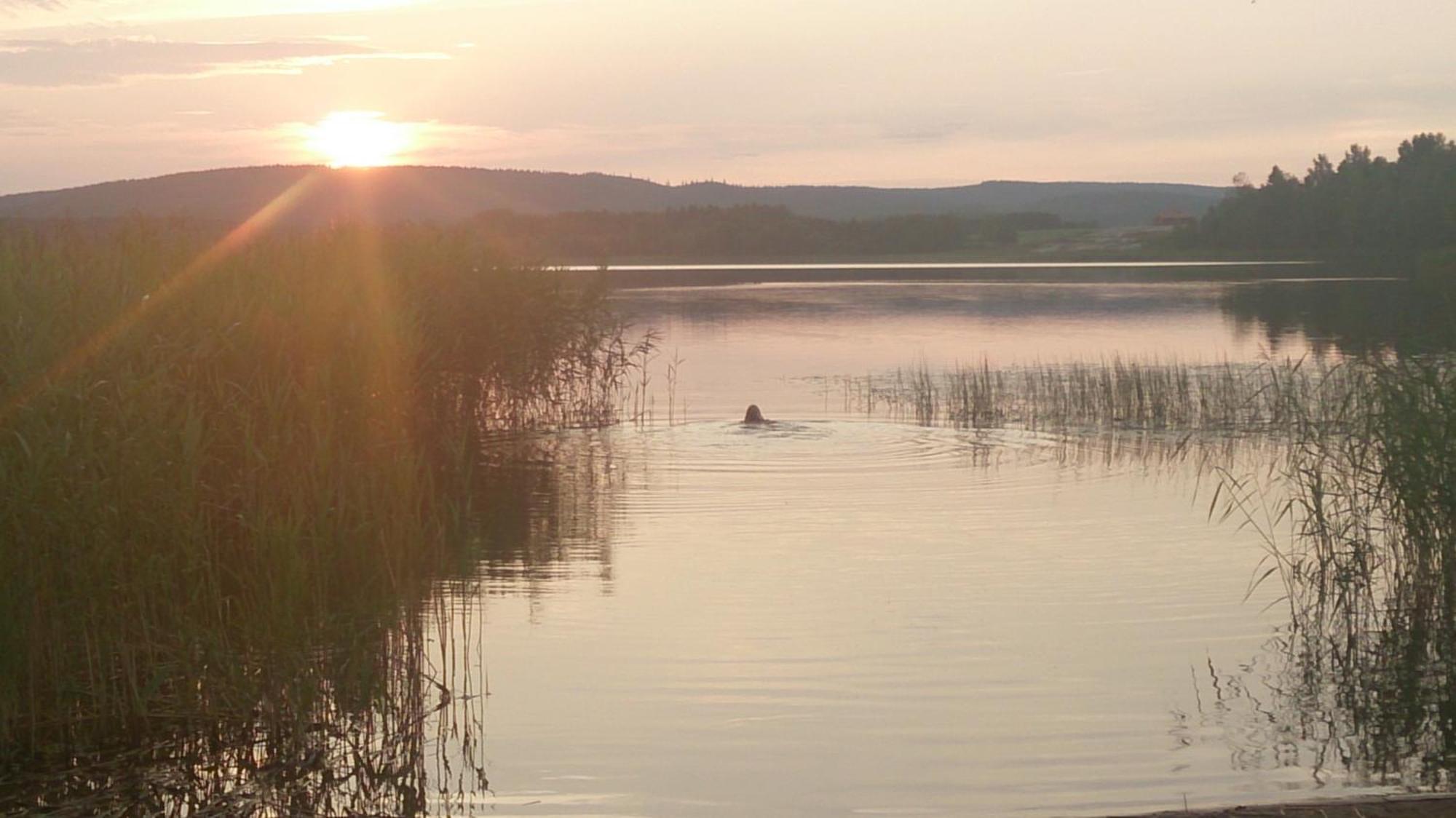 Roeda Stugan Hedemora Экстерьер фото